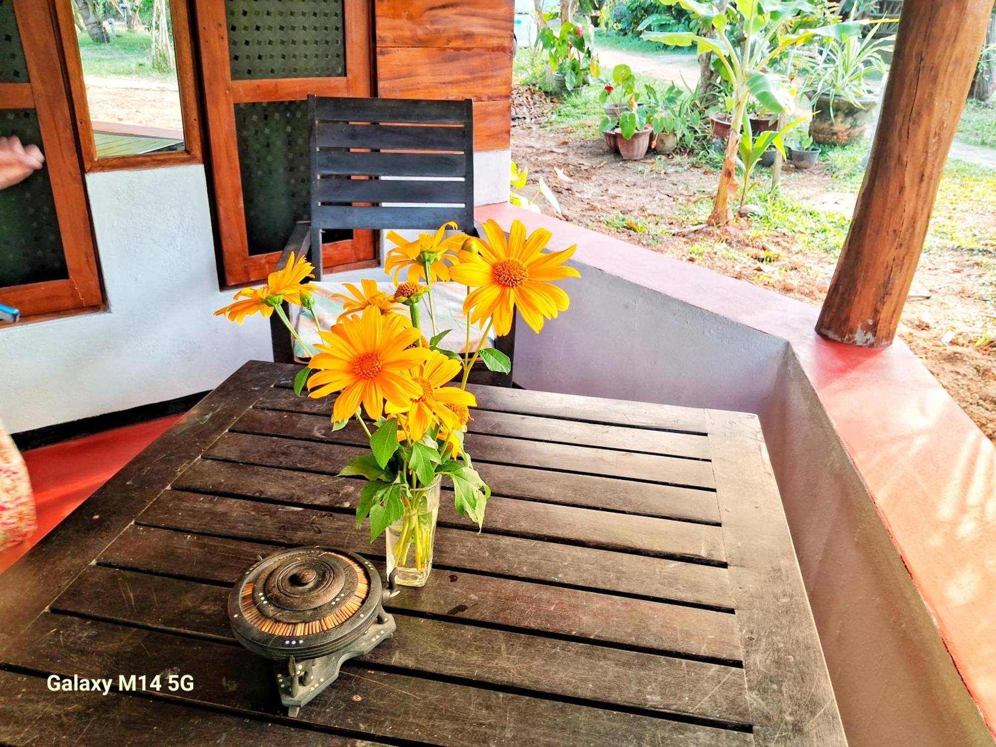 Sea Sound Cabana & Restaurant แทนกาลเล ภายนอก รูปภาพ